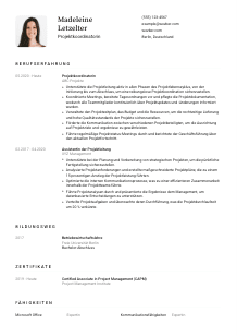 Lebenslauf-Vorlage für Projektkoordinator*in #1
