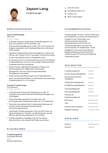 Lebenslauf-Vorlage für Projektmanager*in #2