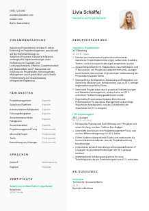 Lebenslauf-Vorlage für Salesforce-Projektleiter*in #2