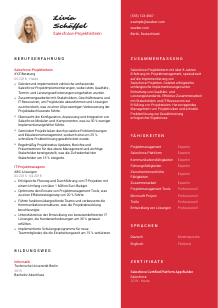 Lebenslauf-Vorlage für Salesforce-Projektleiter*in #3