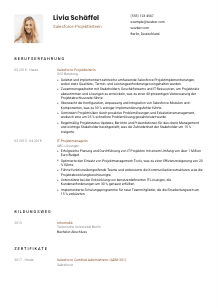 Lebenslauf-Vorlage für Salesforce-Projektleiter*in #1