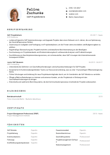 Lebenslauf-Vorlage für SAP-Projektleiter*in #3