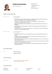 Lebenslauf-Vorlage für SAP-Projektleiter*in #1