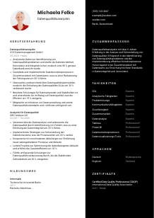 Lebenslauf-Vorlage für Datenqualitätsanalyst*in #3
