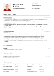 Lebenslauf-Vorlage für Datenqualitätsanalyst*in #2