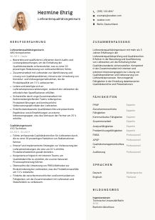 Lebenslauf-Vorlage für Lieferantenqualitätsingenieur*in #2