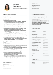 Lebenslauf-Vorlage für Qualitätssicherungsmanager*in #2