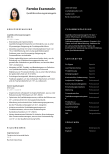 Lebenslauf-Vorlage für Qualitätssicherungsmanager*in #3