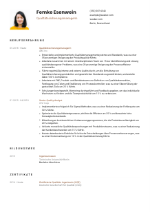 Lebenslauf-Vorlage für Qualitätssicherungsmanager*in #1