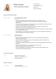 Lebenslauf-Vorlage für Lieferantenqualitätsmanager*in #1