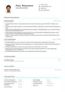 Lebenslauf-Vorlage für Immobilienverkäufer*in #3