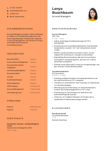 Lebenslauf-Vorlage für Account-Manager*in #3