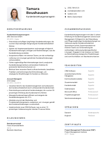 Lebenslauf-Vorlage für Kundenbeziehungsmanager*in #2