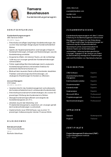 Lebenslauf-Vorlage für Kundenbeziehungsmanager*in #3
