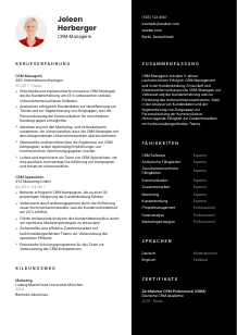 Lebenslauf-Vorlage für CRM-Manager*in #3