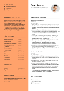 Lebenslauf-Vorlage für Kundenbeziehungs-Manager*in #3