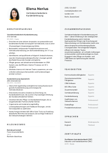 Lebenslauf-Vorlage für Vertriebsmitarbeiter*in Kundenbetreuung #2