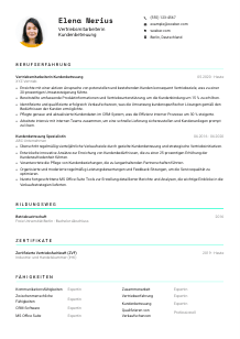 Lebenslauf-Vorlage für Vertriebsmitarbeiter*in Kundenbetreuung #3