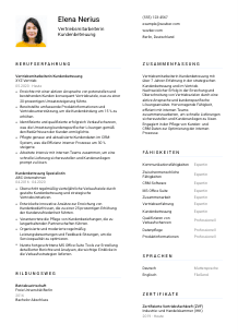 Lebenslauf-Vorlage für Vertriebsmitarbeiter*in Kundenbetreuung #1