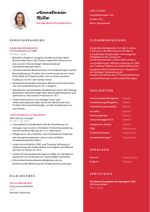 Lebenslauf-Vorlage für Kundendienstmitarbeiter*in #3
