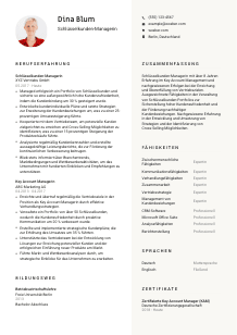 Lebenslauf-Vorlage für Schlüsselkunden-Manager*in #2