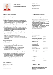 Lebenslauf-Vorlage für Schlüsselkunden-Manager*in #1