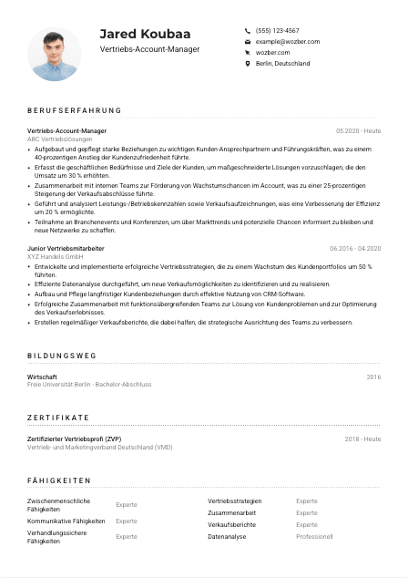 Lebenslauf-Muster für Vertriebs-Account-Manager*in