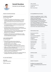 Lebenslauf-Vorlage für Vertriebs-Account-Manager*in #2