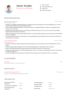Lebenslauf-Vorlage für Vertriebs-Account-Manager*in #1