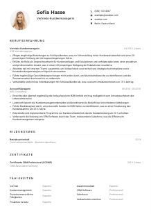 Lebenslauf-Muster für Vertriebs-Kundenmanager*in