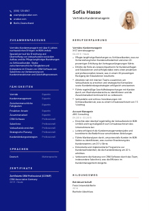 Lebenslauf-Vorlage für Vertriebs-Kundenmanager*in #3