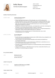 Lebenslauf-Vorlage für Vertriebs-Kundenmanager*in #1
