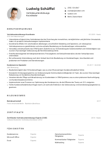 Lebenslauf-Muster für Vertriebsunterstützungs-Koordinator*in