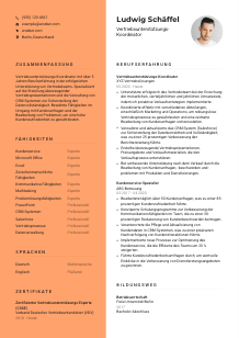 Lebenslauf-Vorlage für Vertriebsunterstützungs-Koordinator*in #3