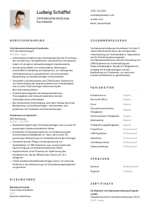 Lebenslauf-Vorlage für Vertriebsunterstützungs-Koordinator*in #1