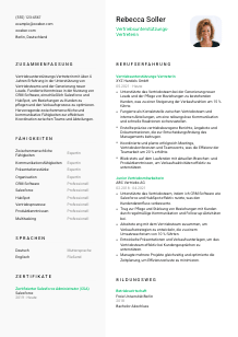Lebenslauf-Vorlage für Vertriebsunterstützungs-Vertreter*in #2