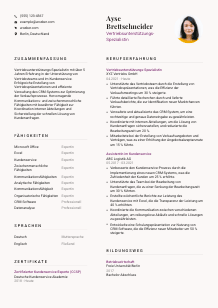 Lebenslauf-Vorlage für Vertriebsunterstützungs-Spezialist*in #3