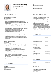 Lebenslauf-Vorlage für Technische*r Account-Manager*in #2