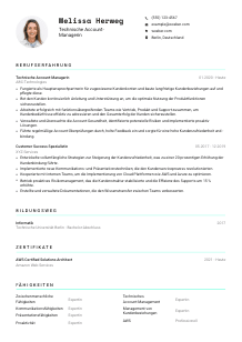 Lebenslauf-Vorlage für Technische*r Account-Manager*in #3