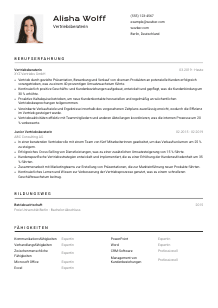Lebenslauf-Vorlage für Vertriebsberater*in #2