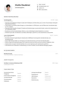 Lebenslauf-Muster für Vertriebsagent*in