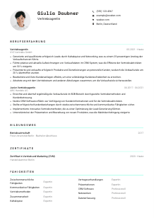 Lebenslauf-Vorlage für Vertriebsagent*in #3