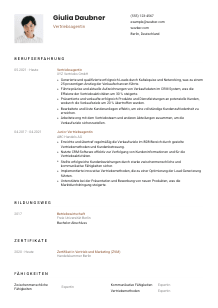 Lebenslauf-Vorlage für Vertriebsagent*in #1