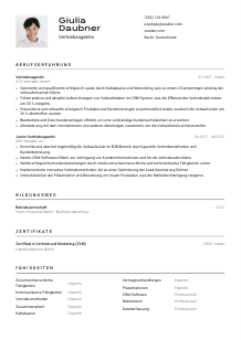 Lebenslauf-Vorlage für Vertriebsagent*in #2