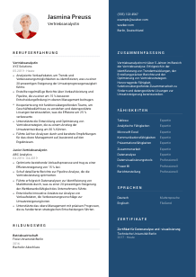 Lebenslauf-Vorlage für Vertriebsanalyst*in #2