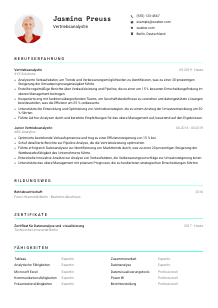 Lebenslauf-Vorlage für Vertriebsanalyst*in #3