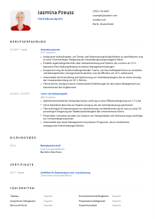 Lebenslauf-Vorlage für Vertriebsanalyst*in #1