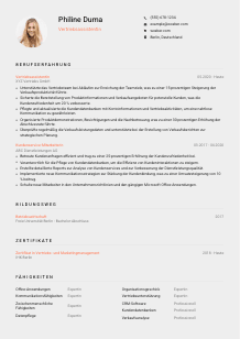 Lebenslauf-Vorlage für Vertriebsassistent*in #3