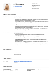 Lebenslauf-Vorlage für Vertriebsassistent*in #1