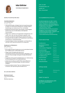 Lebenslauf-Vorlage für Vertriebsmitarbeiter*in #2
